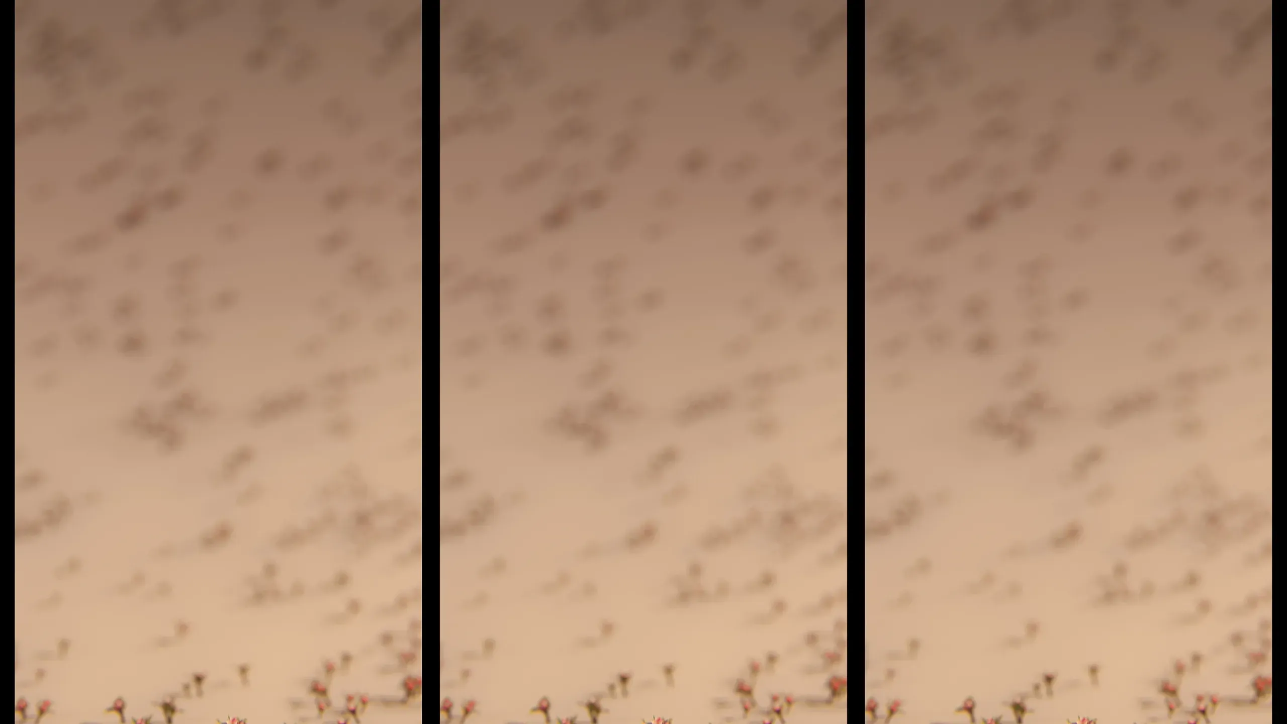 Fotogramma da Ricerca tecnica, 2 di 9