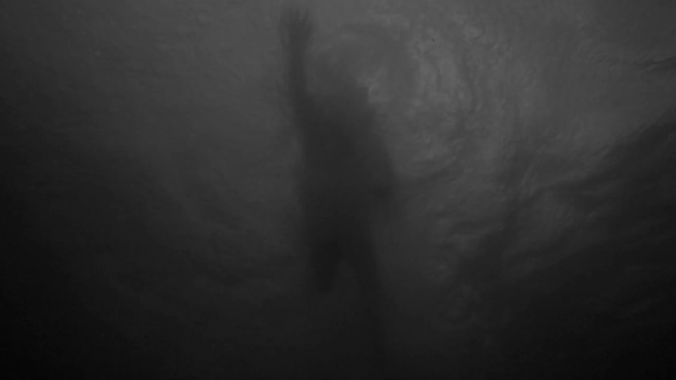 Fotogramma da Beyond the Sea, 2 di 14